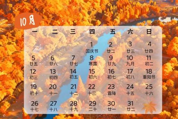 最新刷新清晨更新：2026领证的好日子 2026年适合领证的黄道吉日，高效日历释义解答最佳全面精选解释