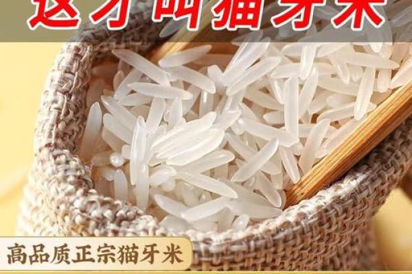 2026年10月26日今日穿衣五行颜色，热搜推荐穿衣指南词语解读最佳精选全面释义