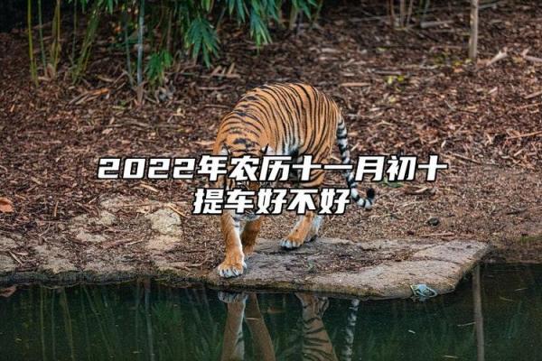 官方：2026年7月提车吉日查询，「七月份提车吉日」权威黄历推荐，全面日历词语解析最佳精选释义剖析
