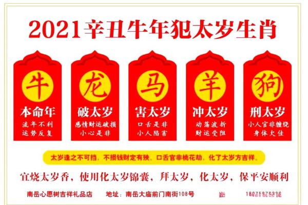 五行穿衣2021年10月23日，独家穿衣指南词语解读精选最佳全面解析