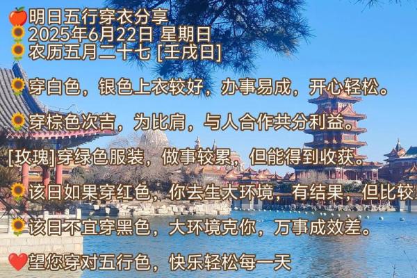 2026年11月5日今日穿衣五行颜色，重要揭秘穿衣指南词语解读最佳精选全面解析