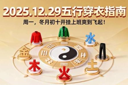五行穿衣指南2022年2月11，必看揭秘穿衣指南词语解析最佳全面精选释义