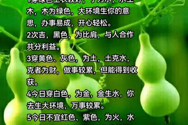 五行穿衣每日指南2023.10.20，经典穿衣指南词语释义精选最佳全面解释