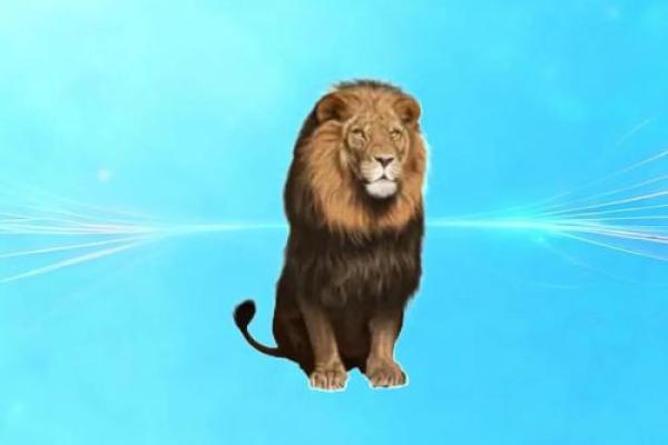 五行穿衣每日分享今天穿什么颜色属兔，重磅五行穿搭吉色穿搭释义解答全面精选最佳