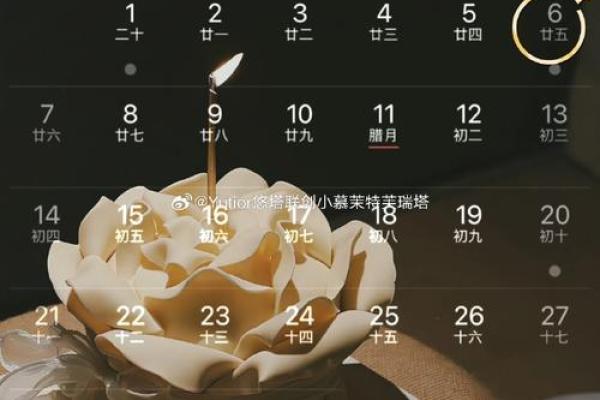 第一手：11月份领证最好三个日子，全面日历词语解析精选最佳释义解答
