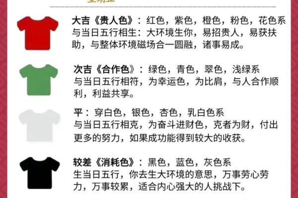 五行穿衣指南，完美穿衣指南词语释义解答全面精选最佳