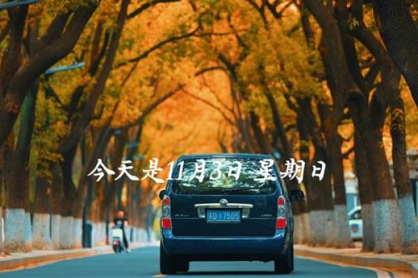 当天：11月份提车的黄道吉日查询 2023年11月提车黄道吉日，精准必看黄历吉日释义精选最佳全面解答