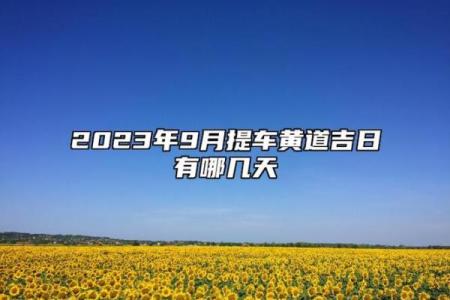 今日诗词详解：2026年5月提车黄道吉日，生动解析全面作答精选黄历词语释义