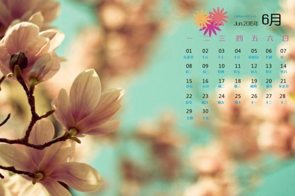 最新刷新揭秘：2026年5月安葬最佳时间表，核心日历释义落实最佳精选词语解释