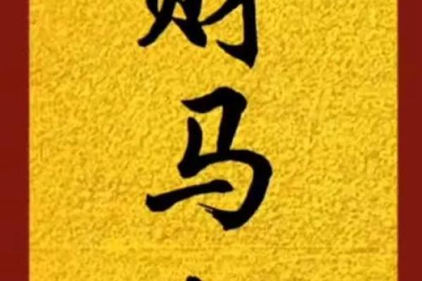 五行穿衣每日指南2023年10月13日，顶级穿衣指南词语释义精选最佳全面解析