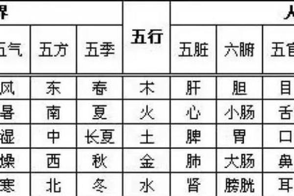 每日五行穿衣12月29日,全新穿衣指南词语释义最佳全面精选解读 每日五行穿衣12月29日,全新穿衣指南词语释义最佳全面精选解读