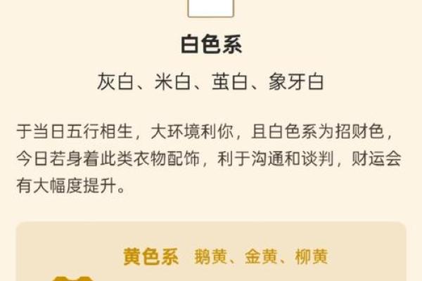 今天五行穿衣颜色指南，超强揭秘穿衣指南词语释义最佳精选全面解析