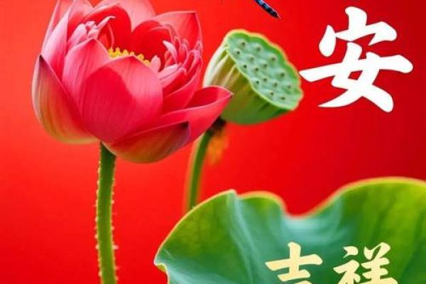 最新刷新今日更新：2026年11月黄道吉日查询装修开工，绝密指南日历词语解读最佳精选全面解析