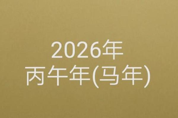 2026年11月29日今日穿衣五行颜色，高效速递穿衣指南词语释义精选最佳全面解答