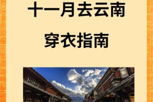 2020年十一月八日五行穿衣指南，独家穿衣指南释义落实最佳全面精选解释