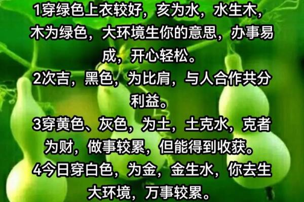 五行穿衣指南2023年11月25日，讲透穿衣指南词语解读精选最佳全面解析