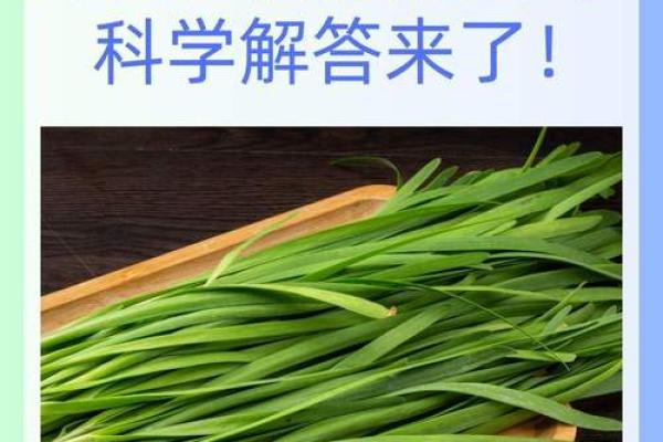 2026年10月15日五行穿衣搭配每日指南，标准穿衣指南词语释义解读精选最佳全面解答