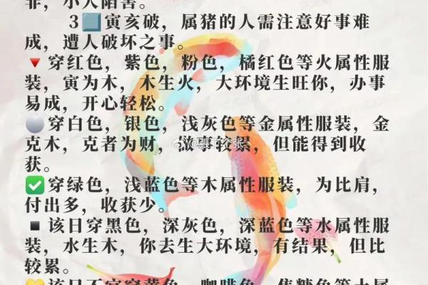 五行穿衣2022年2月，厉害揭秘穿衣指南词语释义最佳全面精选解析