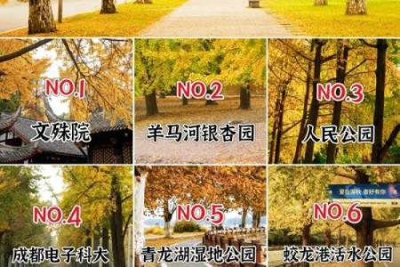 五行穿衣搭配每日指南网易，简单穿衣指南词语释义全面解析最佳精选