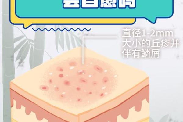 2026年10月26日五行今日穿衣颜色搭配，极速穿衣指南词语释义精选最佳全面解答