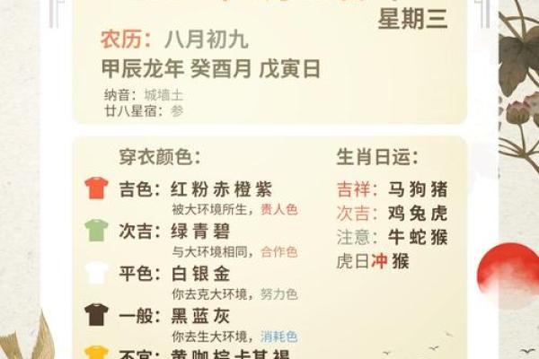 五行穿衣2022年11月11号，重点推荐五行穿搭吉色穿搭解析最佳精选全面解答
