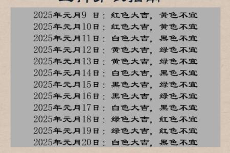 2026年11月29日今日五行穿衣颜色，精彩解码穿衣指南词语解析最佳全面精选释义