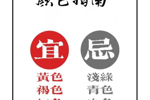 五行穿衣2021年12月7日，极速穿衣指南词语解答精选释义最佳全面