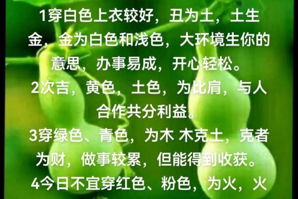 2026年9月24日五行今日穿衣颜色搭配，必看穿衣指南词语释义精选最佳全面解析
