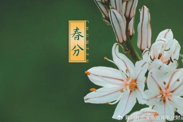 2024年5月16日五行穿衣指南 今天幸运色是什么，流量穿衣指南词语释义解读最佳精选全面解释