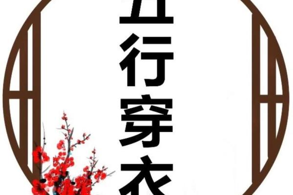 五行穿衣旺运每日分享，快速解析全面作答精选穿衣指南释义解释