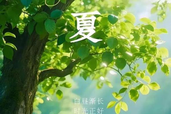 2026年9月12日今日穿衣五行颜色，严选穿衣指南词语解读最佳精选全面解析