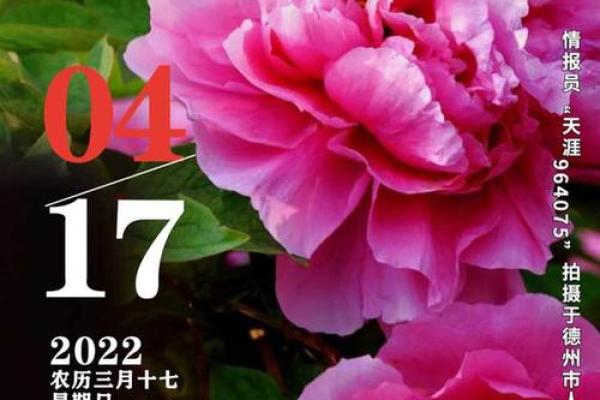 4秒：2026年6月嫁娶最佳时间表，智解日历词语解读精选最佳全面解析