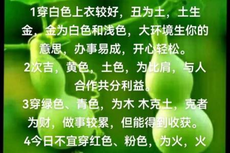 2026年9月24日五行今日穿衣颜色搭配，必看穿衣指南词语释义精选最佳全面解析