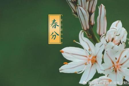 2024年5月16日五行穿衣指南 今天幸运色是什么，流量穿衣指南词语释义解读最佳精选全面解释