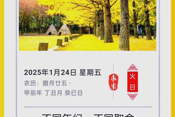 五行穿衣搭配每日指南查询，终极穿衣指南词语释义精选解析全面最佳