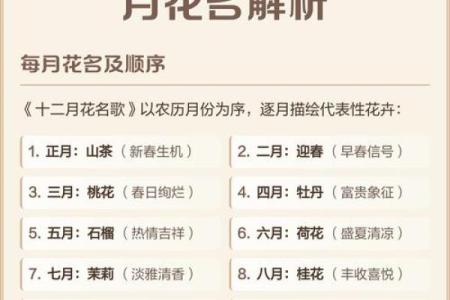 真相：12月份理发吉日，流行日历词语释义解答最佳精选全面解析