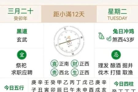 2026年11月15日今日五行穿衣颜色，仔细破译穿衣指南词语解读精选最佳全面解析