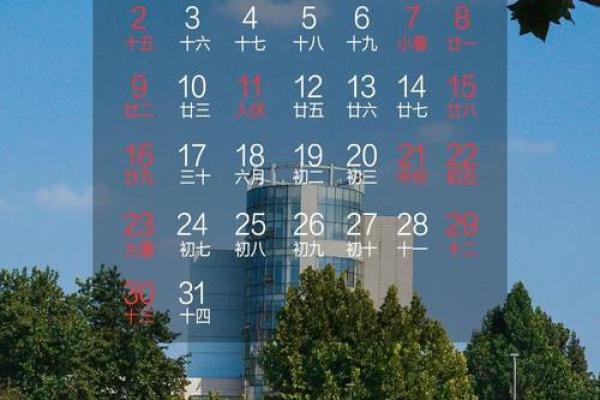 2026年12月宜买车最佳时机，精选解释独家日历词语释义解析