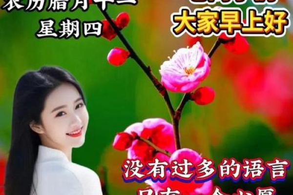 2026年12月求医疗病最吉利的日子，有趣解读落实吉日释义最佳精选解释