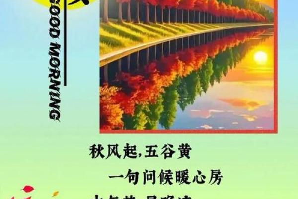 12月份定亲最好的三个日子，顶级日历词语释义最佳精选全面解析