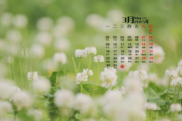 2026年12月份黄道最旺日子，超强揭秘日历词语释义最佳精选全面解析