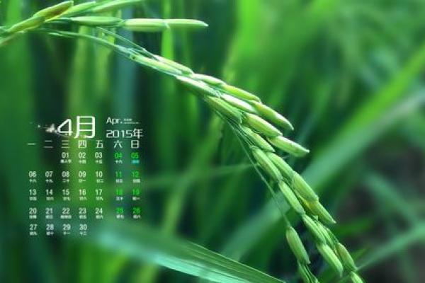 2026年12月份竖柱最旺日子，全面收藏日历词语解析最佳精选全面释义