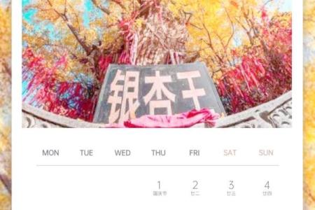 2026年12月份求医疗病最佳的一天，精彩速递日历词语解读精选最佳全面解析
